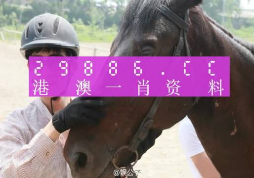 澳門(mén)一肖一碼一必中一肖，揭示背后的真相與挑戰(zhàn)