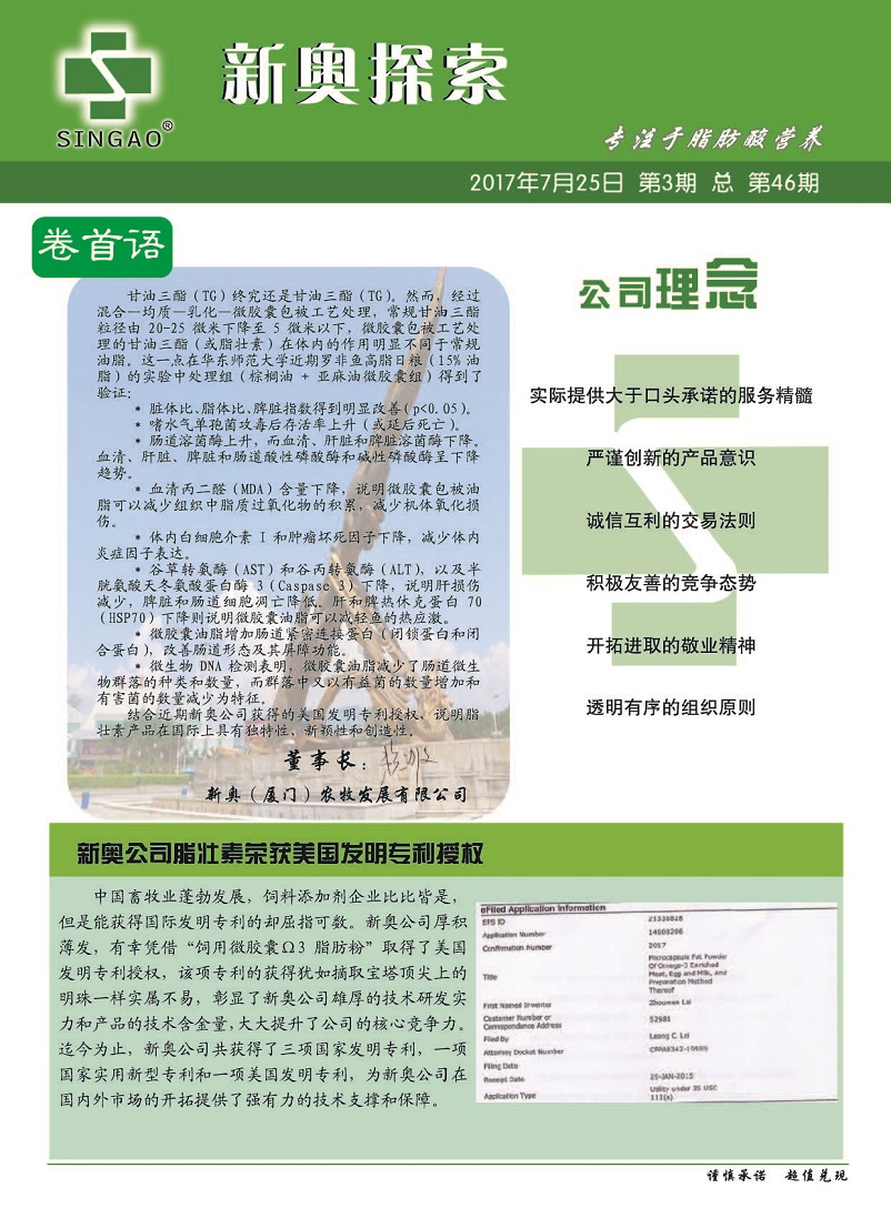 揭秘2024新奧精準(zhǔn)正版資料，全方位解讀與應(yīng)用策略